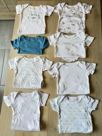 Lot de 8 bodies manches courtes garçon 18 mois 