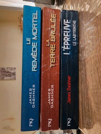 Trilogie livres brochés Le Labyrinthe : l'épreuve, la terre brûlée et le remède mortel