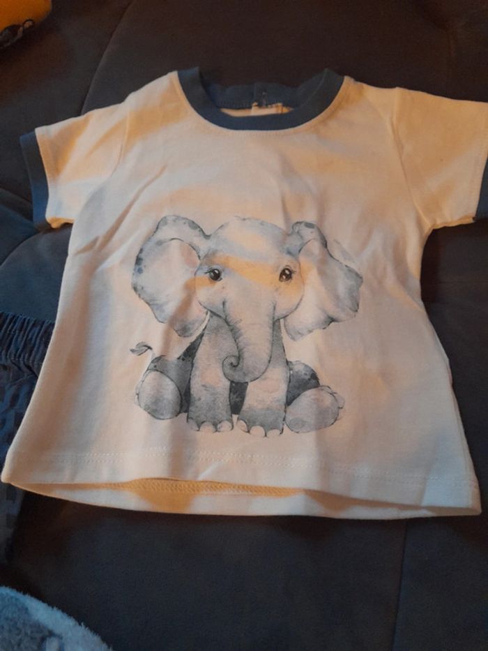 Ensemble - photo numéro 3