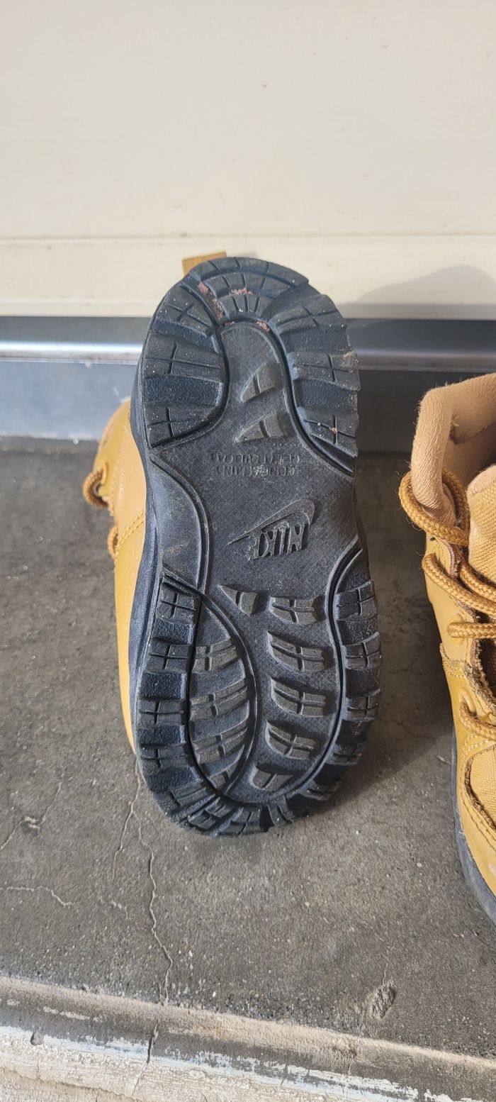 Nike camel - photo numéro 3