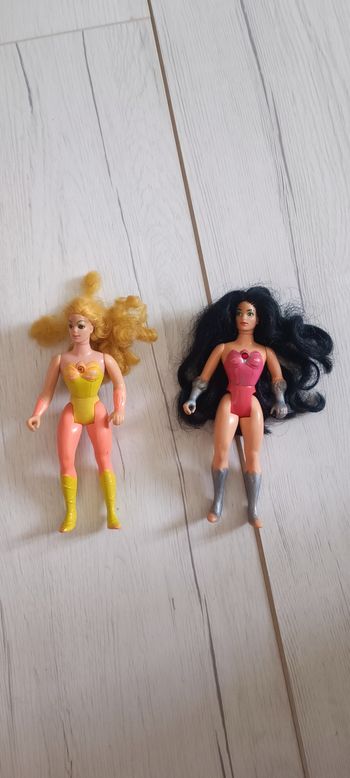 Lot de 2 figurines She-ra Princesse du pouvoir - Les maîtres de l'univers