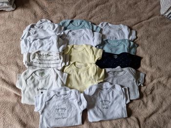 Lot de 14 bodys manches courtes