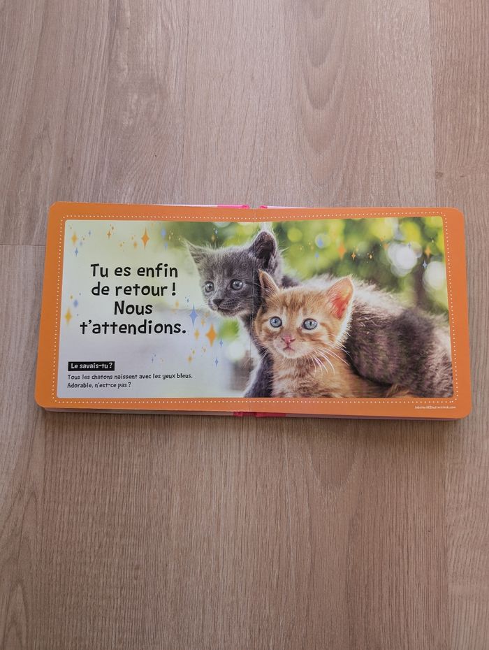 Livre Chats mignons - photo numéro 6