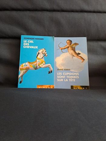 📚 livres de poche