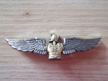 insigne militaire 15e régiment du génie de l'air Delsart dissolution 1998