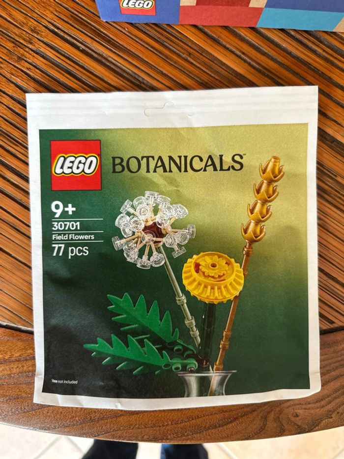 Polybag Lego Botanicals 33701 Field Flowers