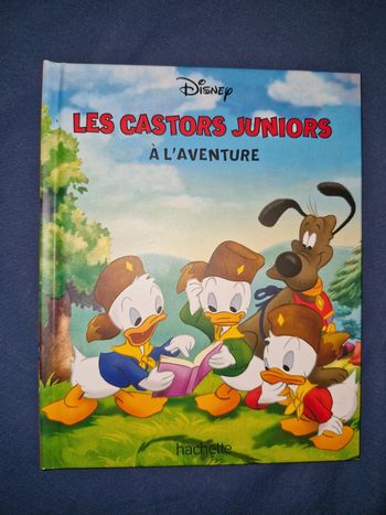 Livre Disney - Hachette collection