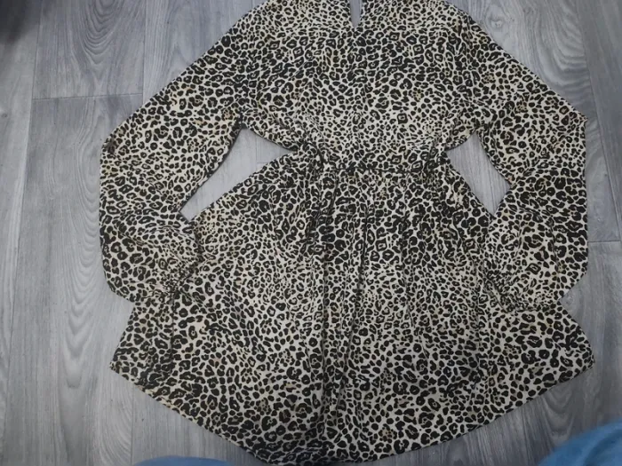 Robe léopard - photo numéro 3