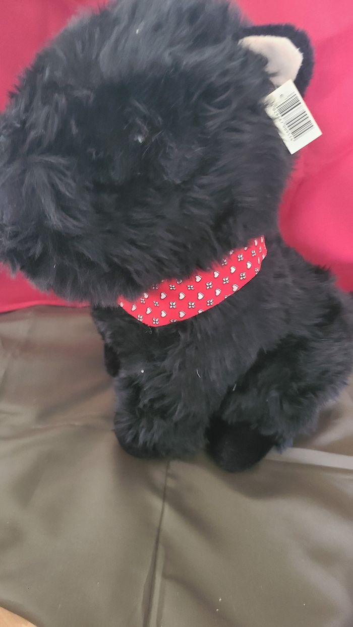 Chien Scottish Terrier Noir - photo numéro 2