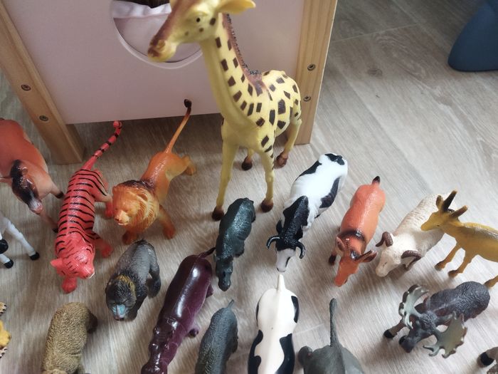 Lot animaux - photo numéro 3