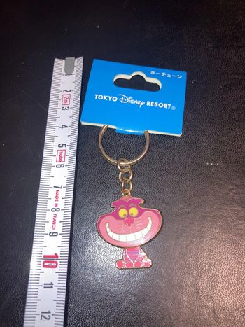 Porte clés Keychain Disney Tokyo Resort - Chat de Cheshire (Cheshire Cat) Alice in Wonderland