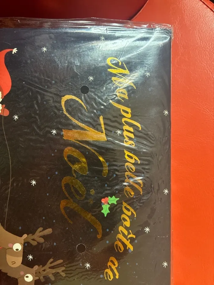 Ma plus belle boîte de Noël pour attendre et fêter Noël avec les petits fleurus - photo numéro 2