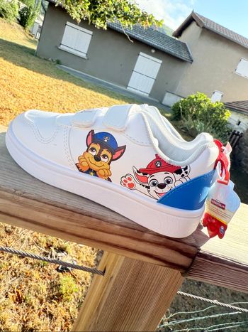 Basket Paw patrol