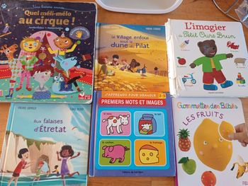 Lot de livres bébé petits