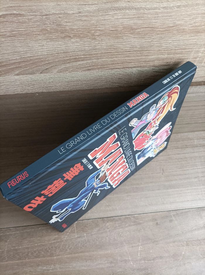 La Grand Livre du Dessin Manga Fleurus - photo numéro 4