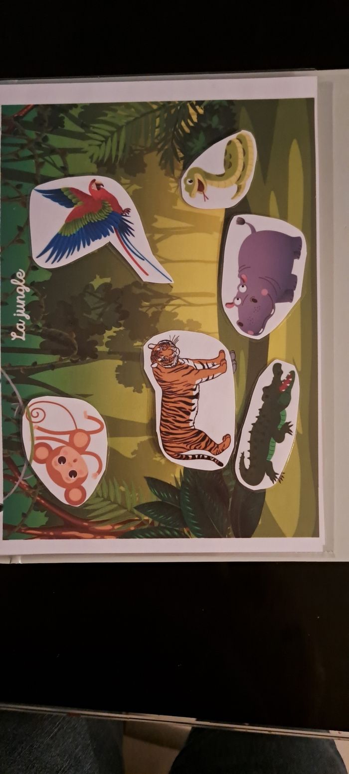 Classeur d'activité - photo numéro 5