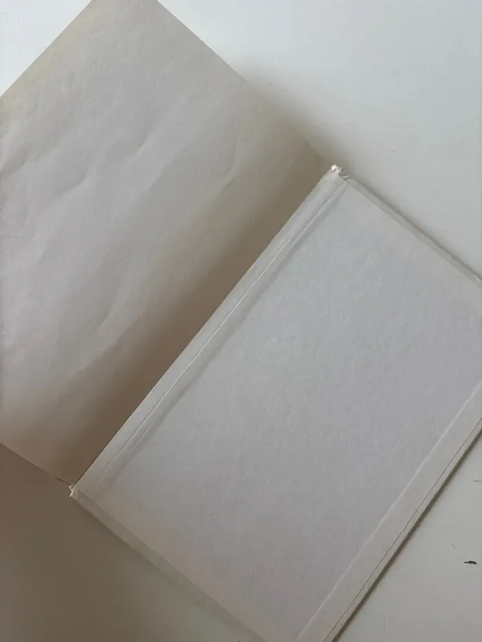 Livre ouh! La menteuse ! - photo numéro 3