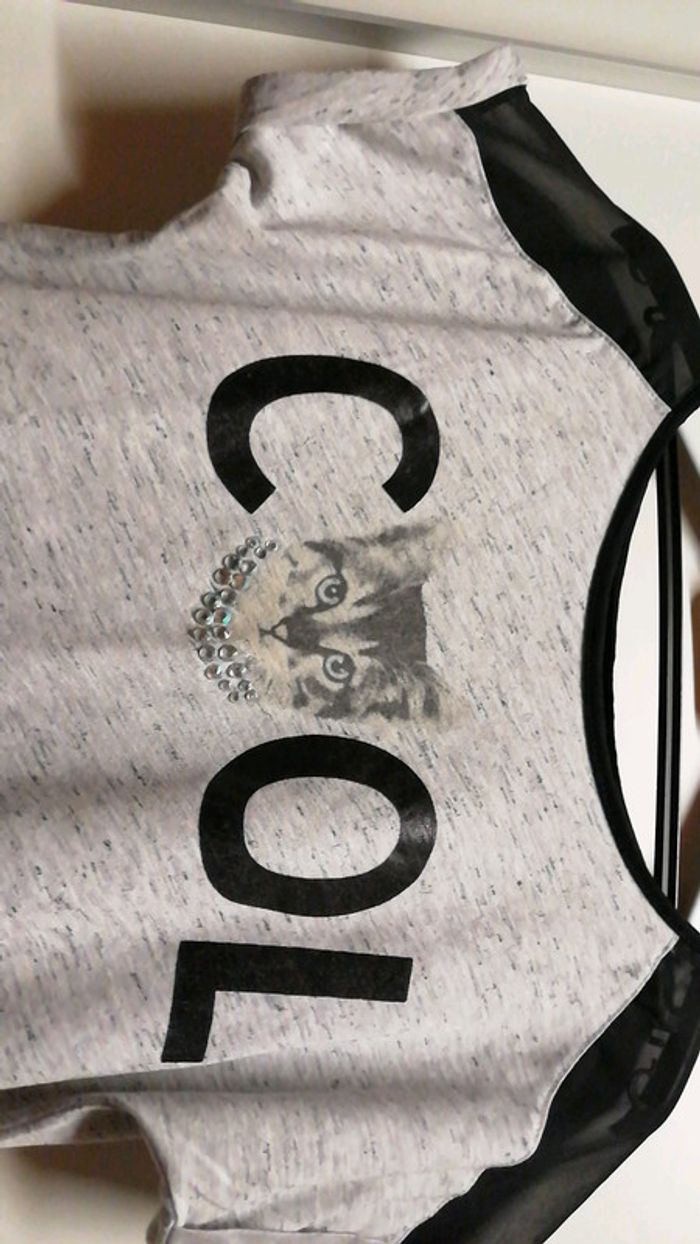 T-shirt cool chat - photo numéro 2