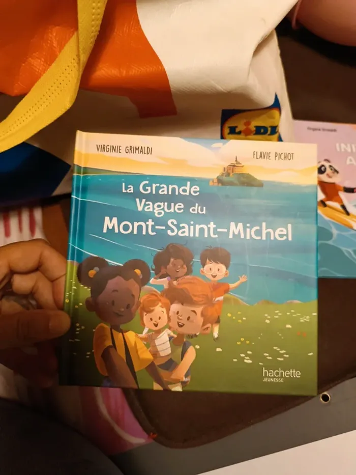 Livre mac do neuf
