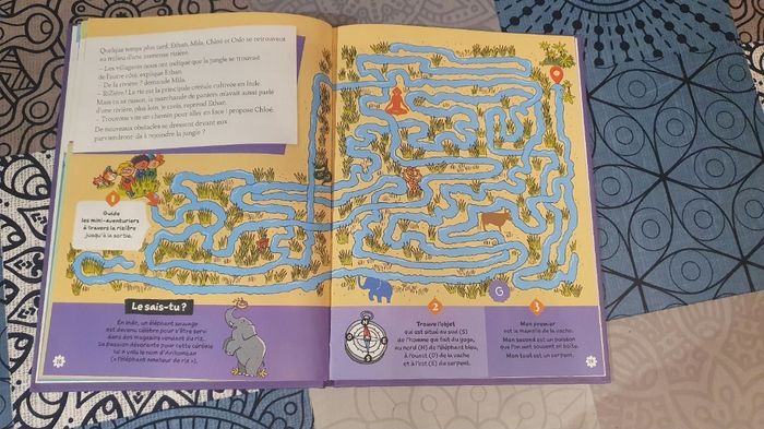 Le tigre du Taj Mahal - photo numéro 3