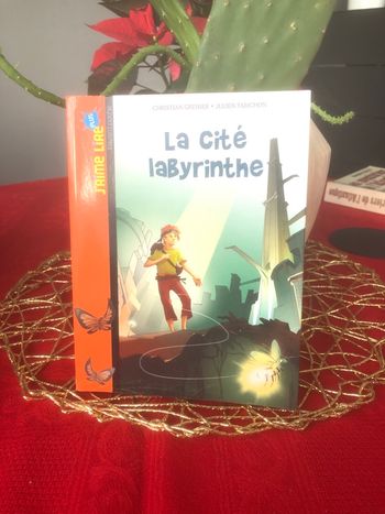 La cité labyrinthe - Christian Grenier