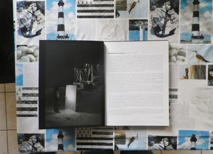 Nuit polaire, été austral Carnets des pôles par Vincent Hilaire - photo numéro 2