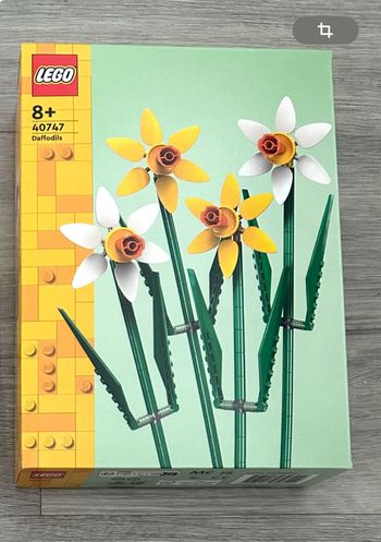 Lego fleurs à jonquilles