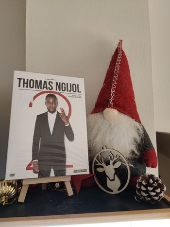 16- DVD "Norman sur scène" - NEUF ✨