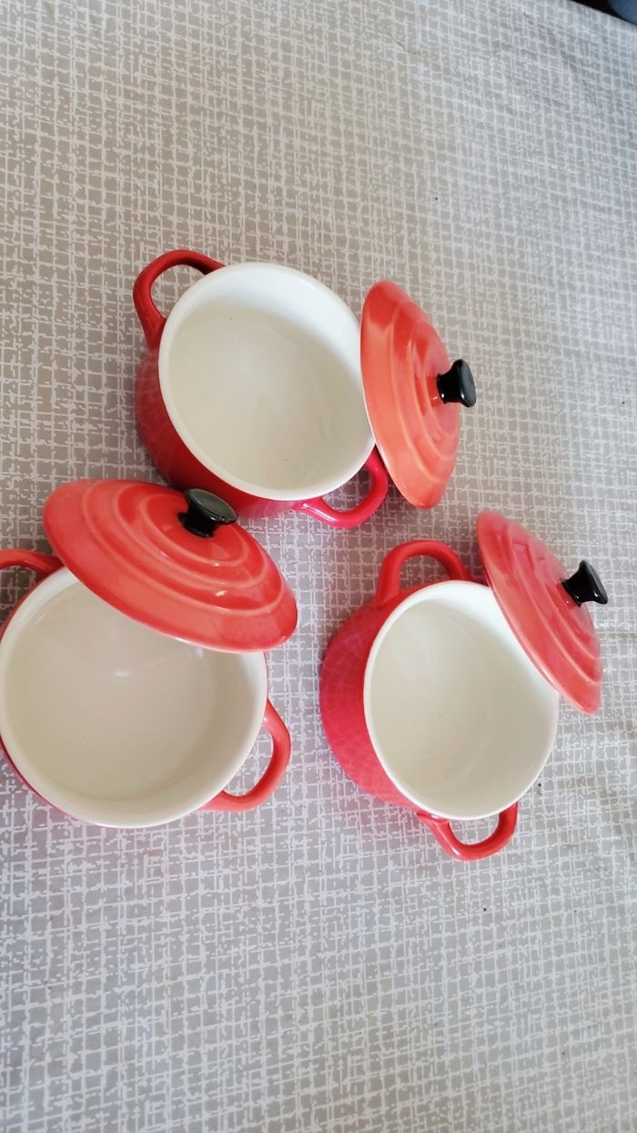 Cocotte - photo numéro 2