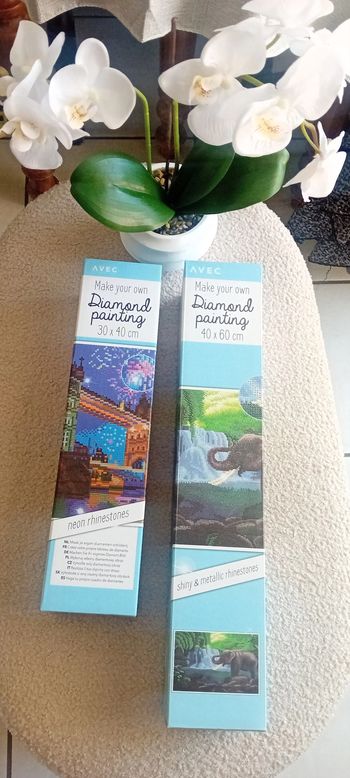 Lot de 2 diamonds painting neufs