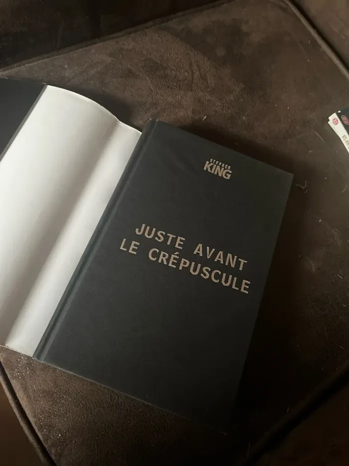 Juste avant le crépuscule Stephen King - photo numéro 7