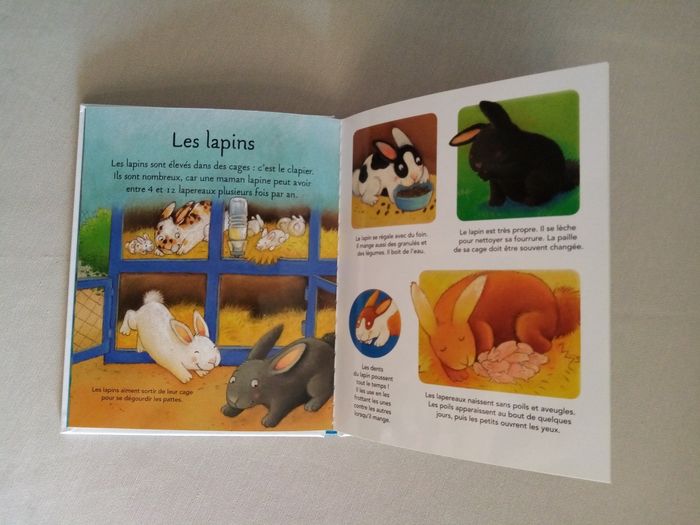 Livre petite imagerie - photo numéro 4