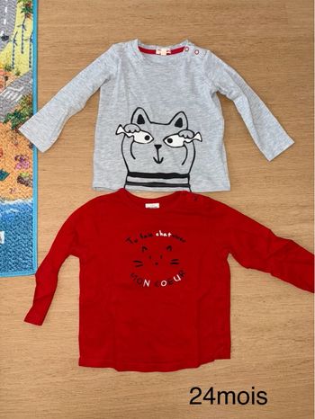 Lot tee shirt 24 mois