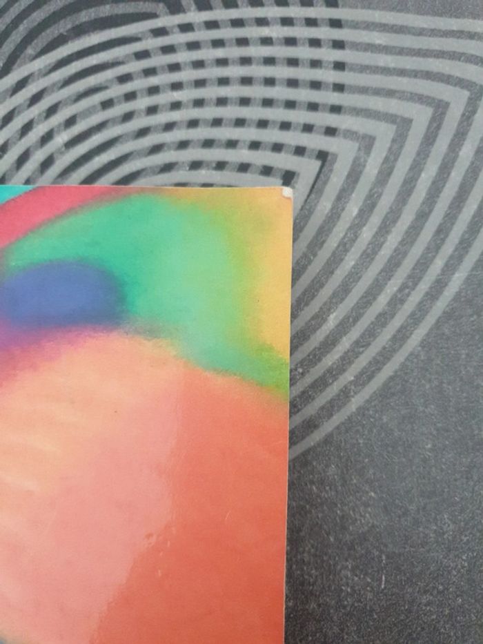 Espoir La voie de la réalisation - photo numéro 3