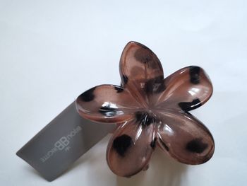 Pince à cheveux en forme de fleur polynésienne motif léopard 💘