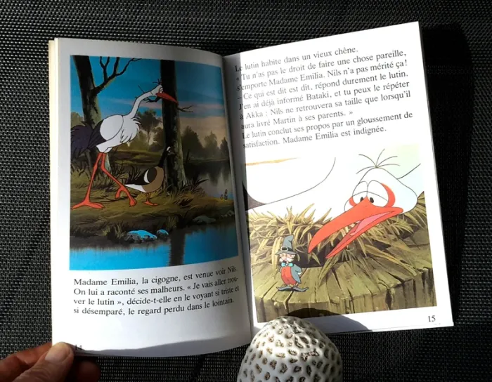 Livre Dès 7 ans : Nils rentre à la maison - photo numéro 2