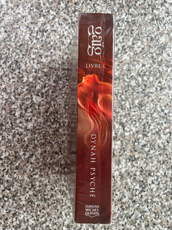 Gaïg livre 1 - photo numéro 3