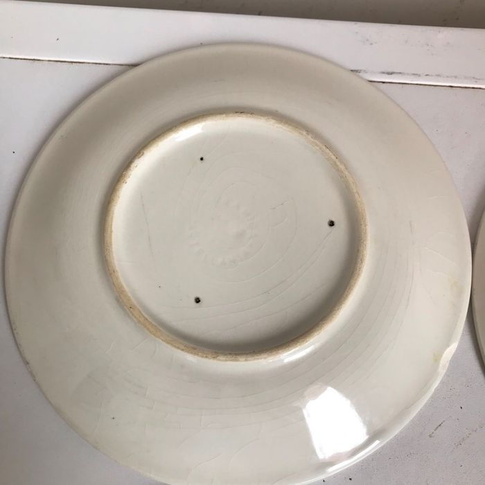 Assiettes - photo numéro 9