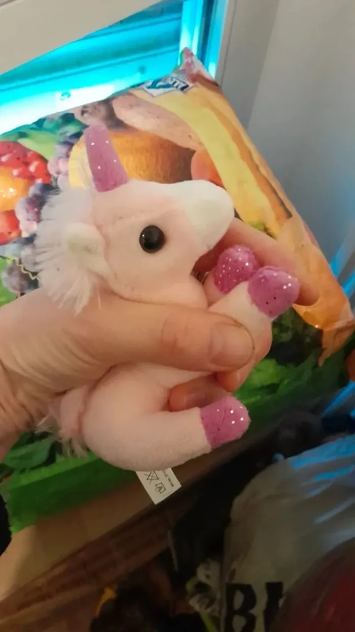 Licorne - photo numéro 2