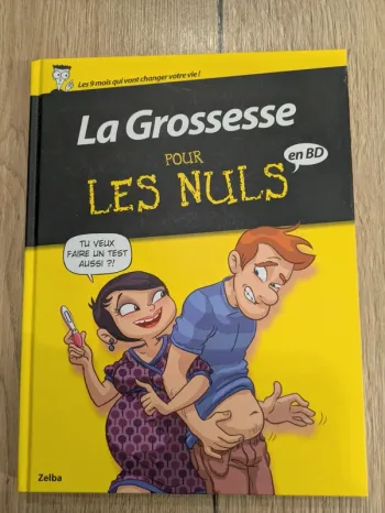 Livre la grossesse pour les nuls