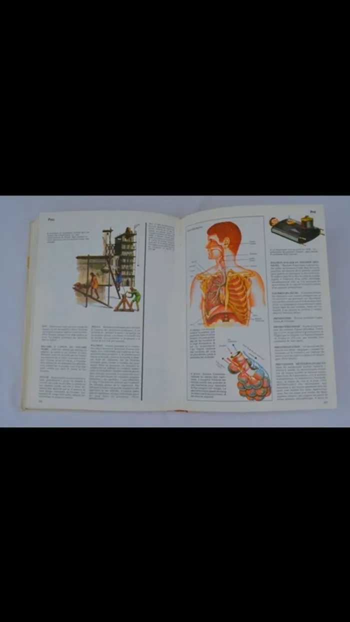 Encyclopédie - photo numéro 4