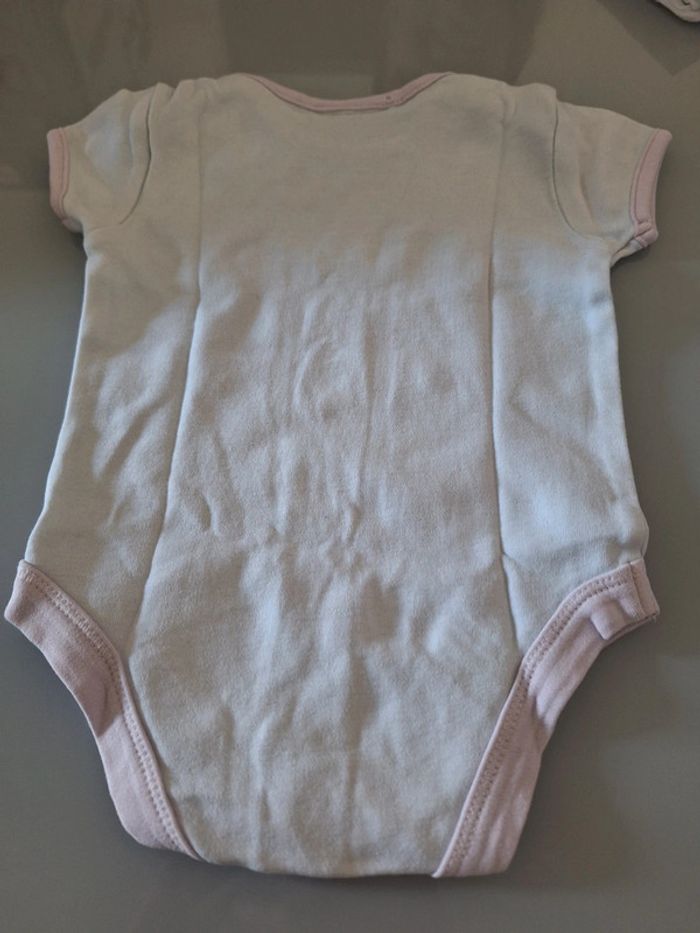 Bodie 3/6 mois - photo numéro 2