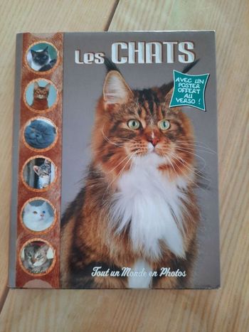 Les chats
