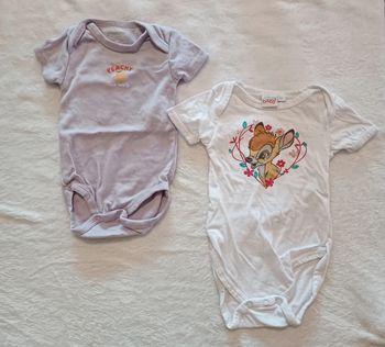 Lot 2 bodys MC 3 mois