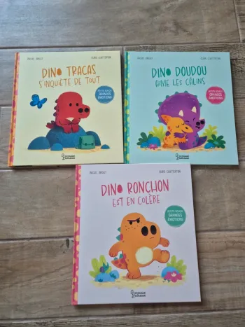 Lot de 3 livres petits soucis grandes emotions Rachel Bright