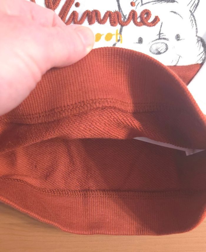 (Neufs non portés) 🏷 sweat et teeshirt ml  winnie/simba 6mois garçon 🥰😍😍 - photo numéro 5