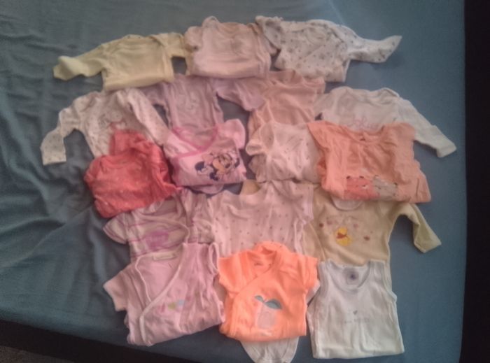 Lot 17 bodies