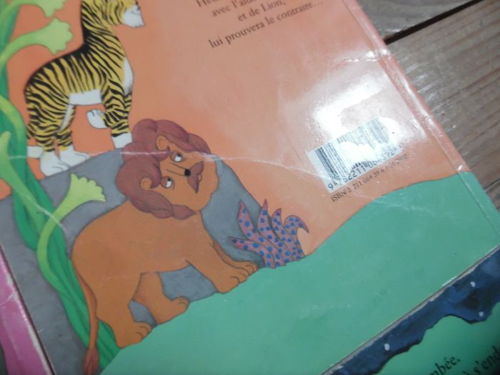 Elmer - photo numéro 5