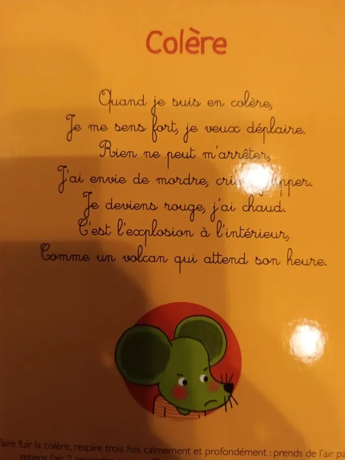 Livre sonore le livre de mes émotions - photo numéro 4