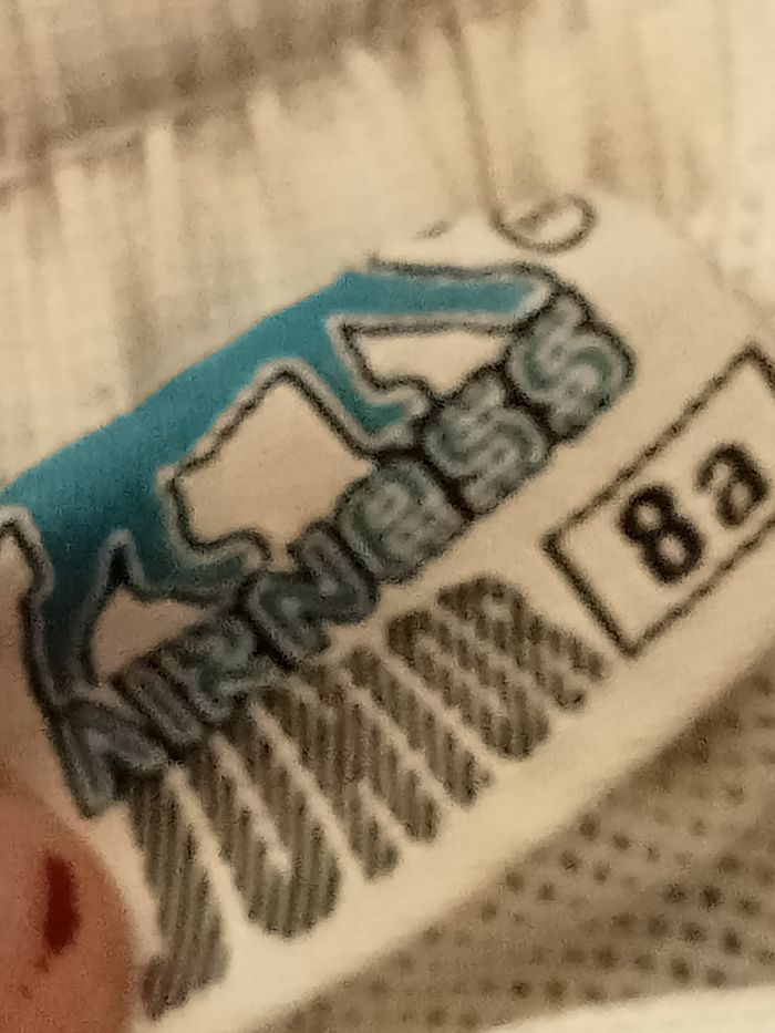 Bermuda - photo numéro 5